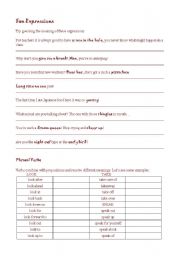English Worksheet: Fun expressions and Phrasal Verbs