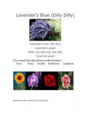 English worksheet: Lavenders blue