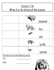 English worksheet: A/An & plurals