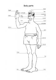 English Worksheet: English Body Part