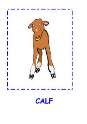 English Worksheet: ANIMALS FLASHCARDS.CALF,MONKEY,BIRD,HORSE....