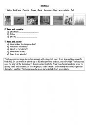 English Worksheet: animals