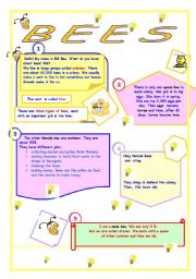 English Worksheet: Beeslife