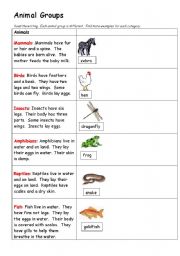 English Worksheet: Animal Groups