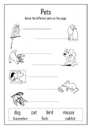 English worksheet: Pets