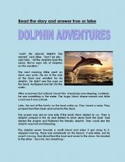 English Worksheet: Dolphin Adventure