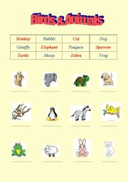 English worksheet: Birds & Animals