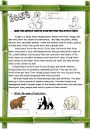 English Worksheet: Bears ( 3 pages / + Compare & Contrast Strategy  )