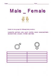 English worksheet: Male - Female