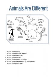 English worksheet: Animals are different