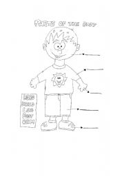 English Worksheet: Parts of the body