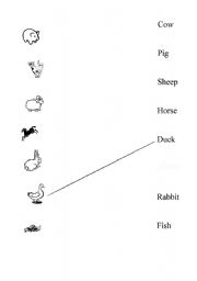 English worksheet: Animal word picture match