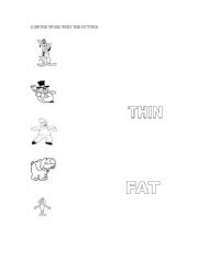 English Worksheet: Thin or Fat