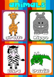 Animal flashcards (3)