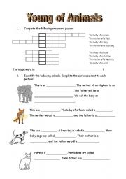 English worksheet: Young of animals