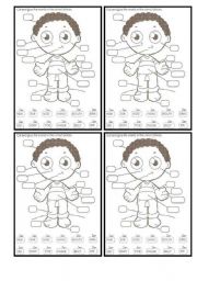 English Worksheet: Parts of the human body