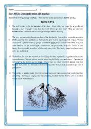 English Worksheet: A complete version of reading comprehension, including 5 sections (long questions, MC, vocabulary, references), with anwer keys and answer sheet