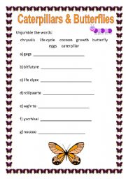 English Worksheet: Unjumble the Words - Butterflies