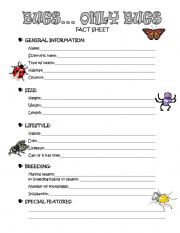 English Worksheet: Bugs...only bugs