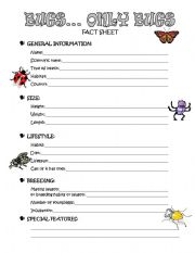 English worksheet: Bugs...only bugs