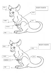 English Worksheet: body parts