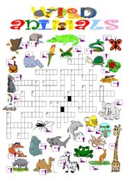 English Worksheet: wild animals