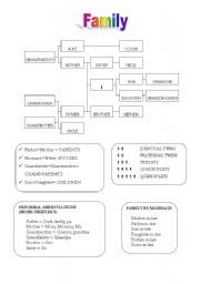 English worksheet: Family