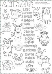 English Worksheet: Animals