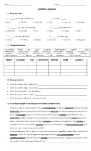 English Worksheet: test: animal classification