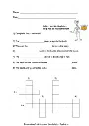 English Worksheet: Skeleton and Muscles