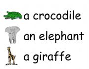 English worksheet: zoo animals