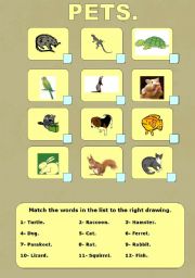 English worksheet: Pets: matching exercise, part 2 of a 4-5 part series .