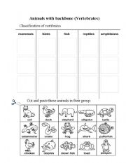 English Worksheet: Animals with backbone