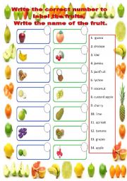 English Worksheet: Fruits Matching and Labeling
