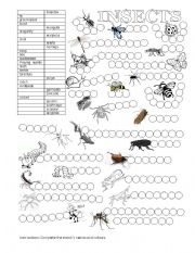 English Worksheet: ANIMALS (INSECTS)