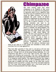 English Worksheet: Reading-chimpazee