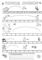 English Worksheet: ordinal numbers