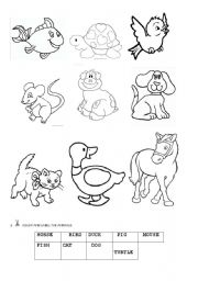 English worksheet: Lets label the animals