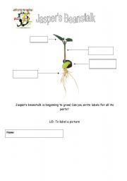 English Worksheet: Jaspers Beanstalk Labelling activity Science growing