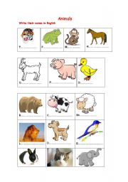 English worksheet: Animals