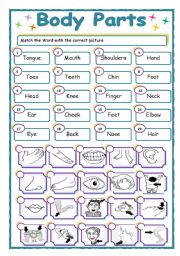 English Worksheet: Body parts