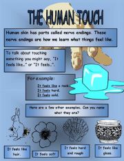 English Worksheet: The Human Touch Wksheet #1