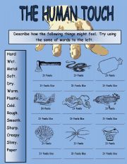 English Worksheet: The Human Touch Wksheet#2