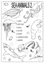 English Worksheet: sea animals