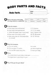 English worksheet: BODY FACTS AND PARTS