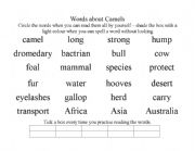 English worksheet: Words about camels