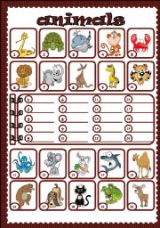 English Worksheet: Animals