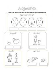 English worksheet: Adjective