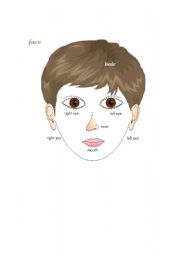 English Worksheet: Face