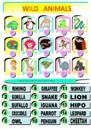English Worksheet: JUNGLE ANIMALS